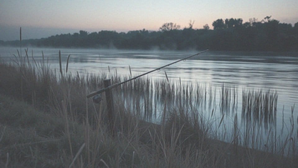 Jakie są metody poławiania sumów z brzegu?