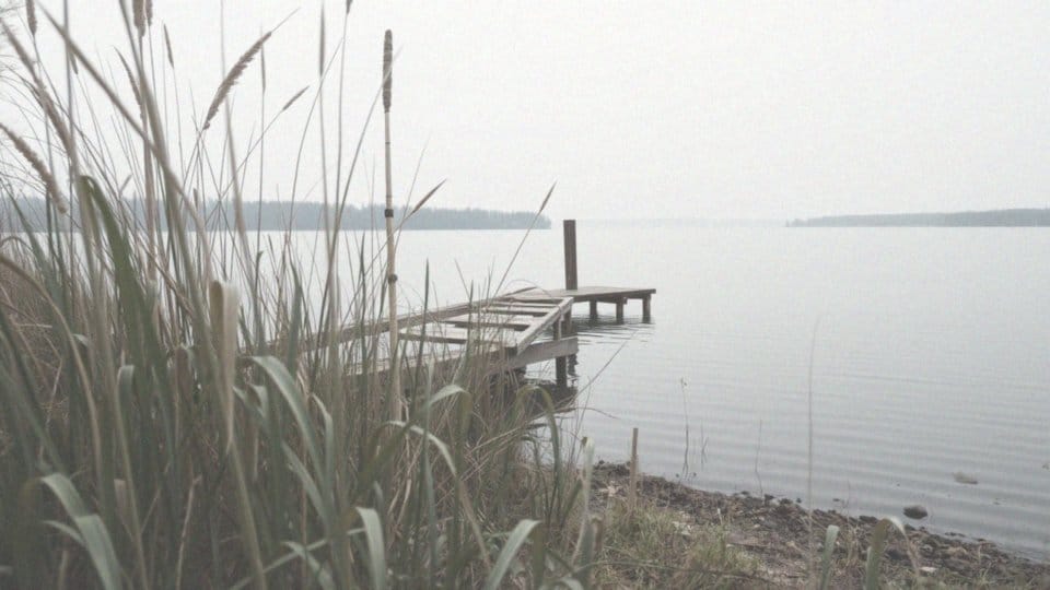 Jakie są zasady ochrony sandacza?