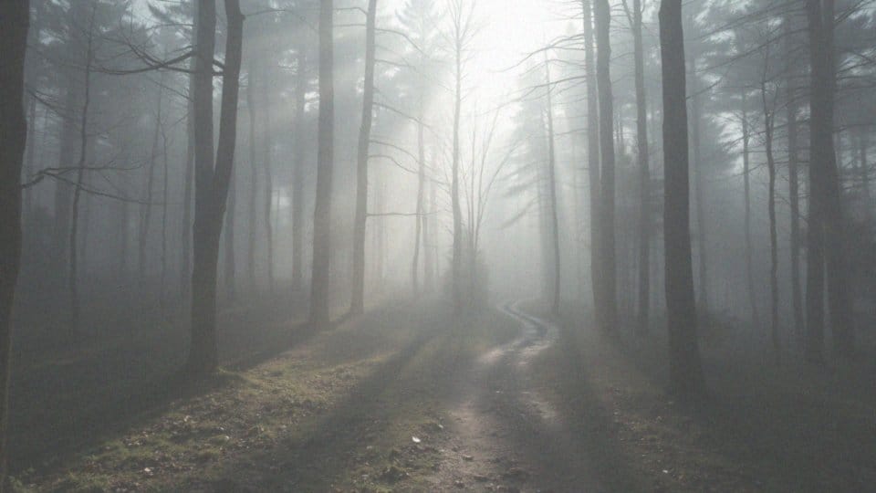 Jak radzić sobie z lękiem i niepokojem? Praktyczne metody i porady
